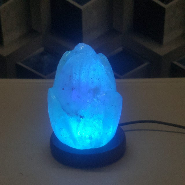 himalayan usb flower lamp (white) with light